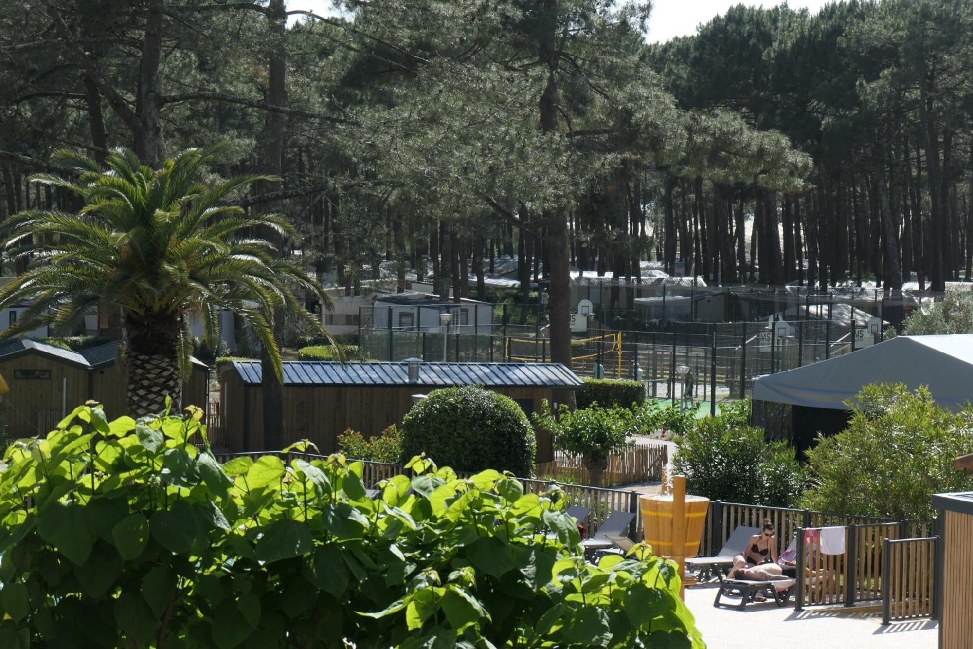 Hoya Surf Camp - Activites + Logements Biscarrosse Zewnętrze zdjęcie